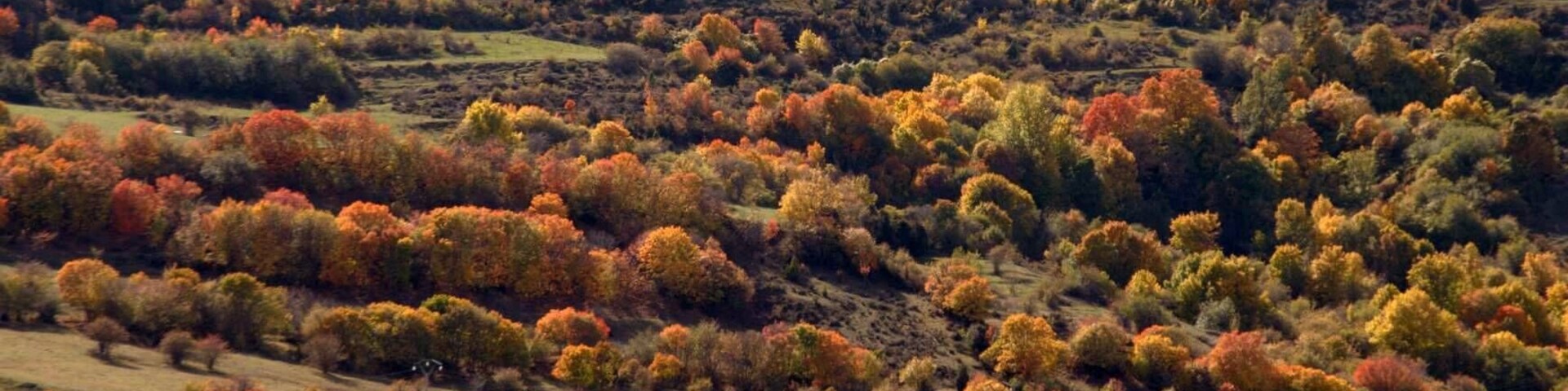 Villarluengo, 44559, Teruel, Spain