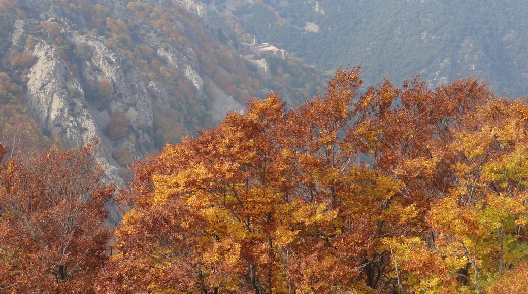 This is a photography of a Site of Community Importance in Spain with the ID: