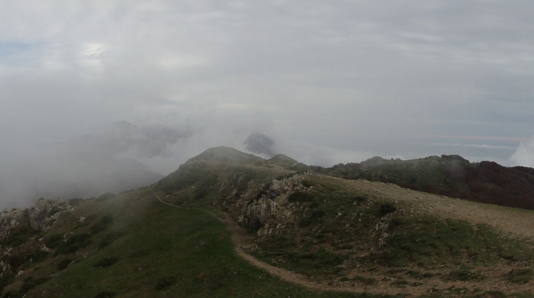 This is a a photo of a natural area in Catalonia, Spain, with id: