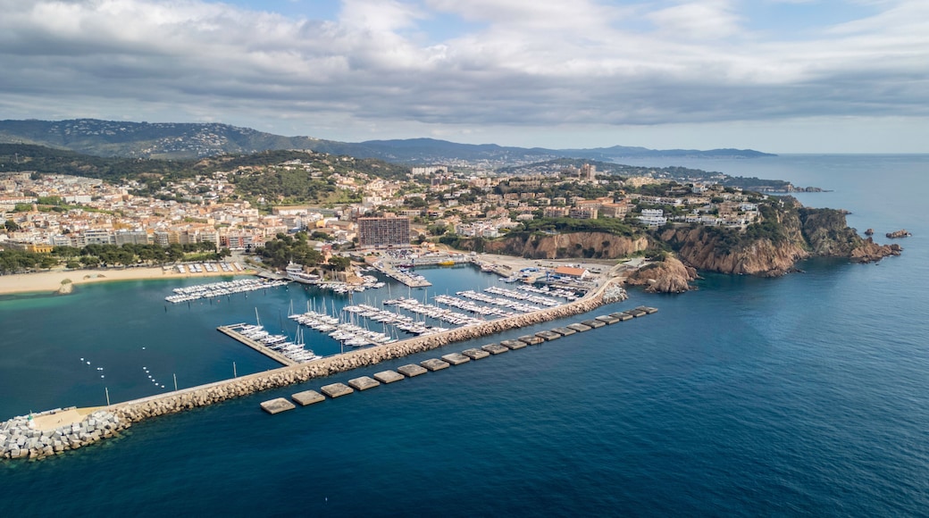 聖費柳德吉克索爾斯