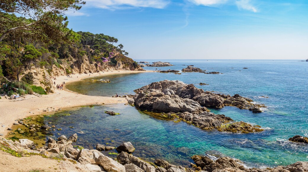 View of Cala Estreta small beach near Palamos, Catalonia