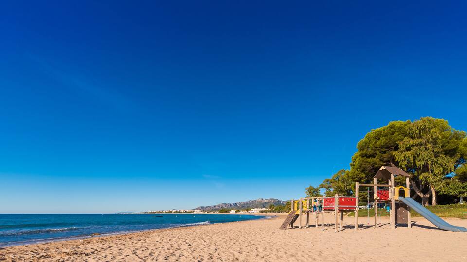 A beach with a playground, clear blue sky, and a large tree.