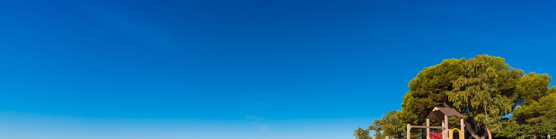 A beach with a playground, clear blue sky, and a large tree.