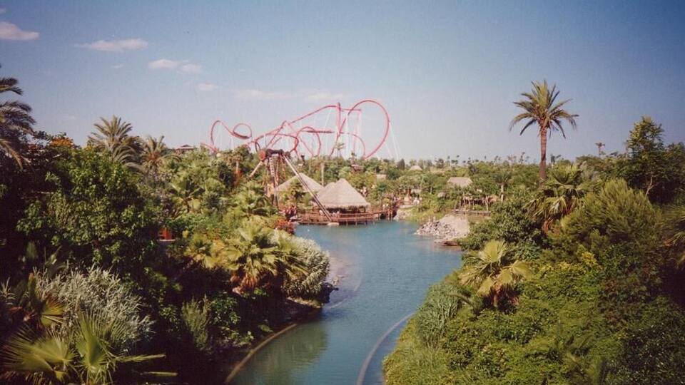A river with a wooden bridge, surrounded by lush greenery and palm trees.