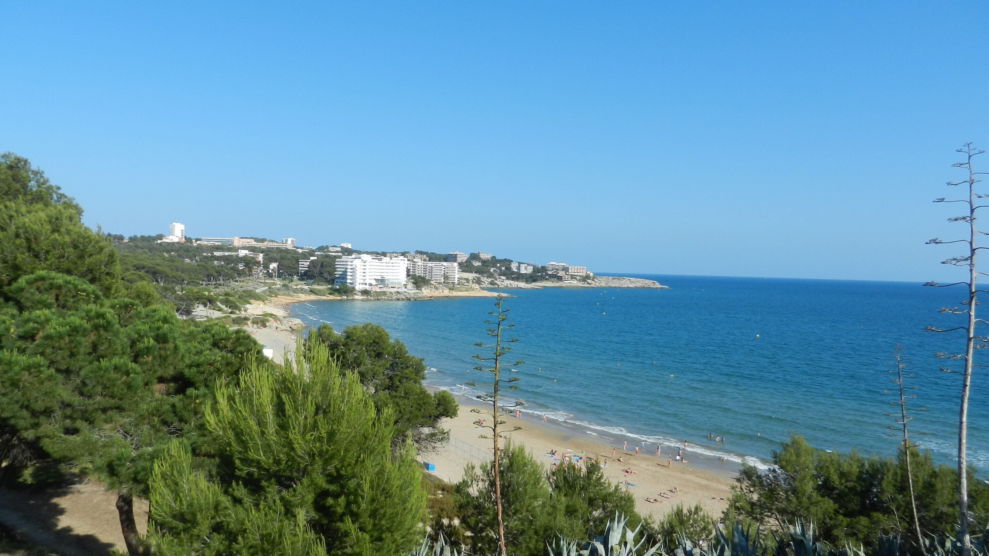 Утренний вид