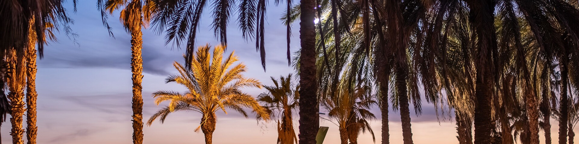 Atardecer con palmeras y un letrero iluminado grande que dice 'SALOU'.