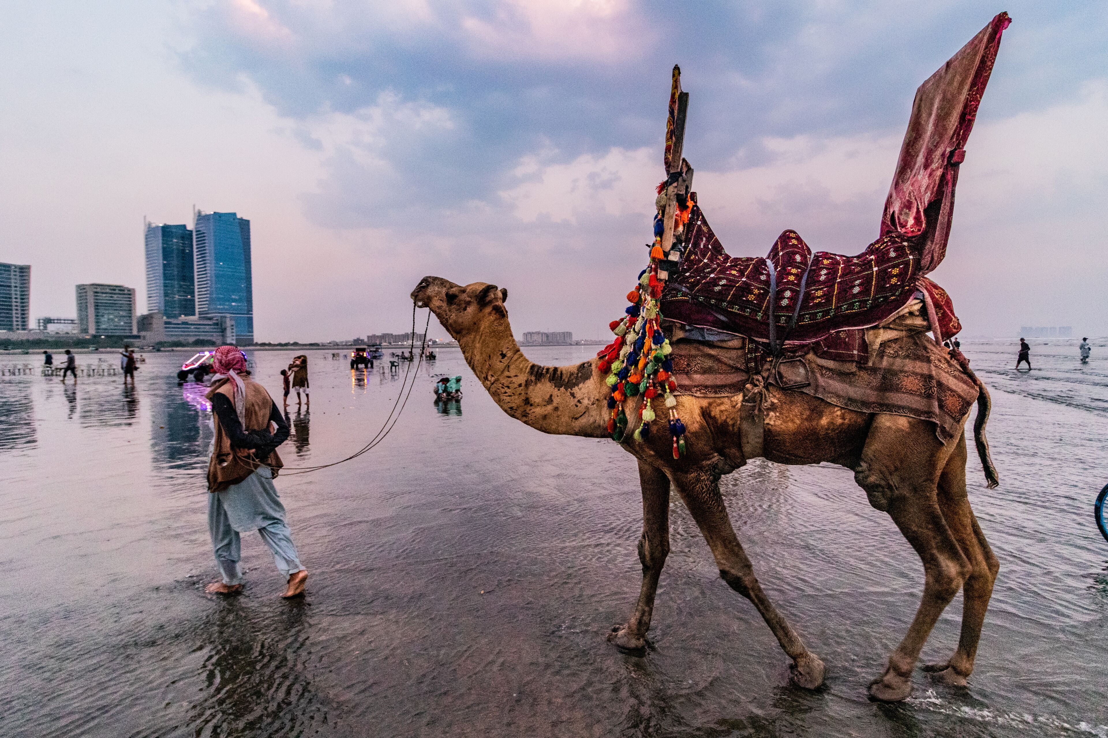 Decorated camel rides offered at the Clifton Beach in Karachi, Pakistan