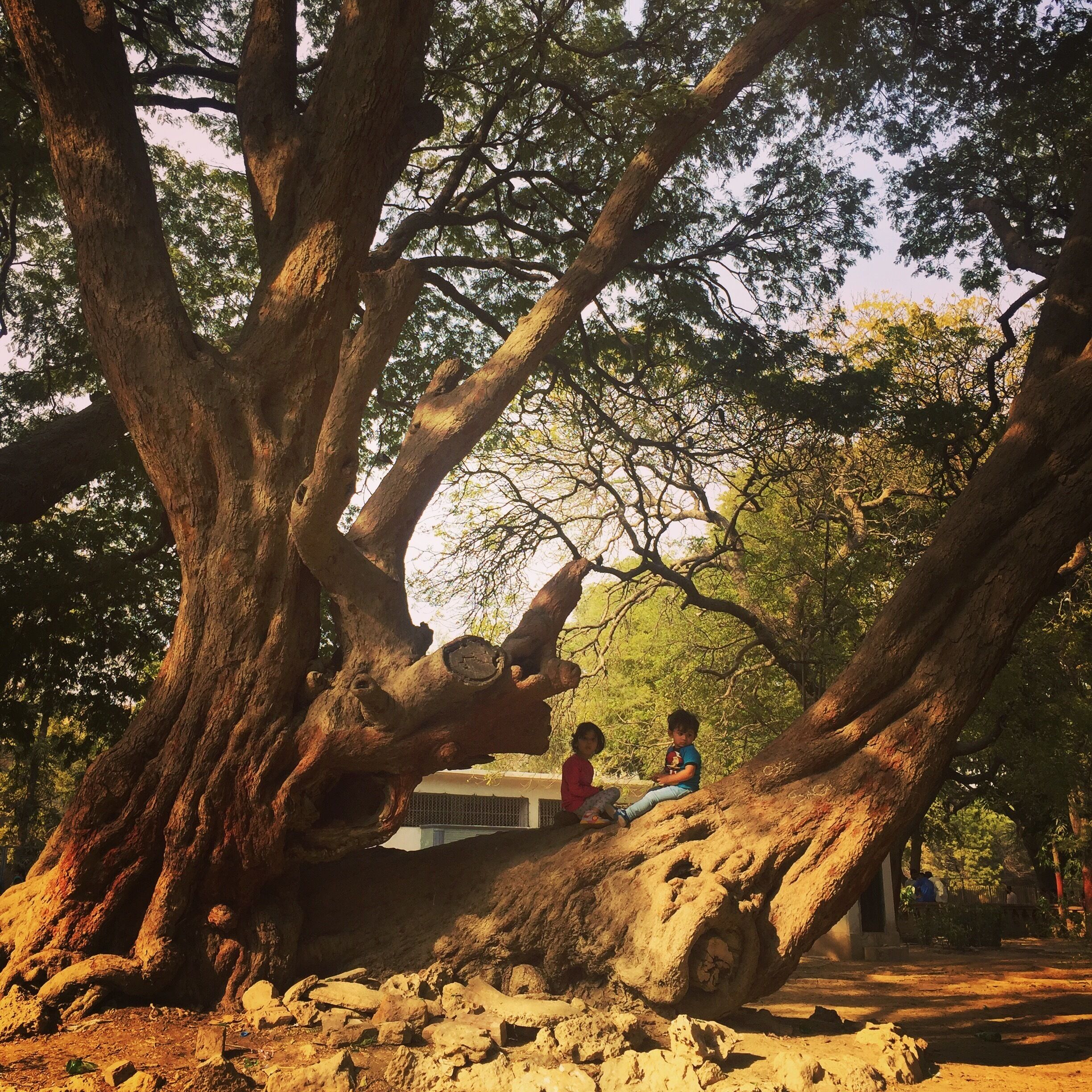 Almost a century old botanical garden, now a zoo since 40years has been a great place for affordable weekend fun for karachites