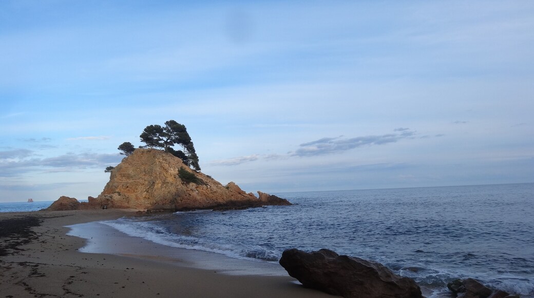 Platja de Sant Jordi, Calonge (maig 2013)