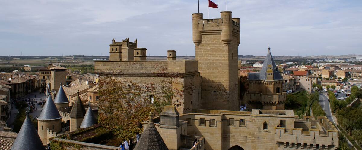 A historic castle with multiple towers, a red flag on top, and a surrounding town with traditional architecture.