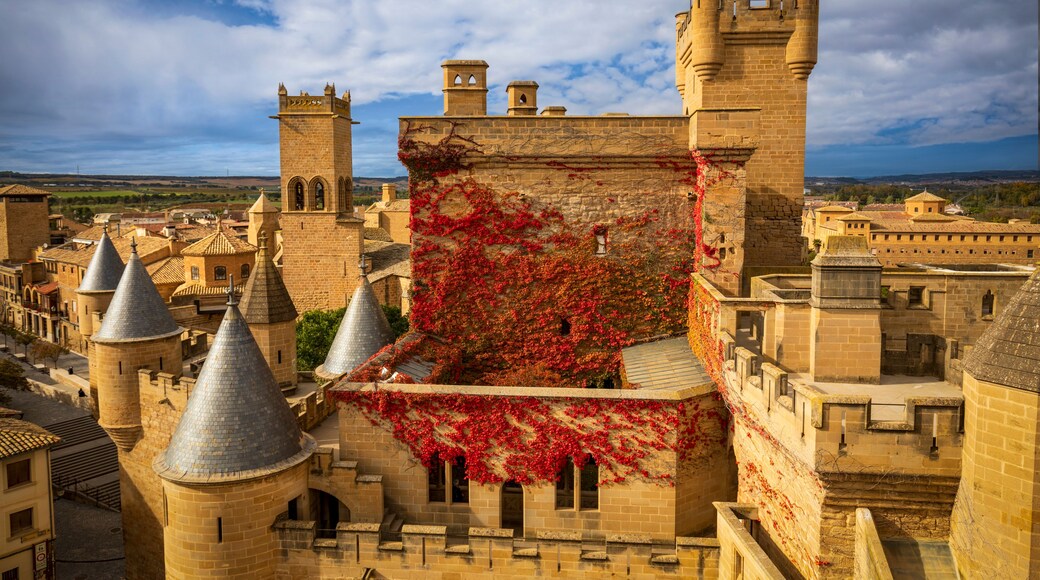 Olite