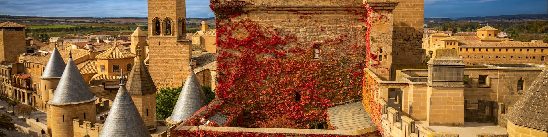 A historic castle with red ivy, multiple towers, and a clear sky.