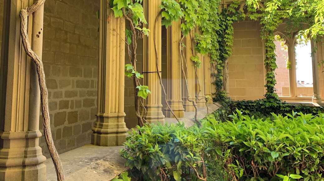 Queen's Garden
Olite Castle