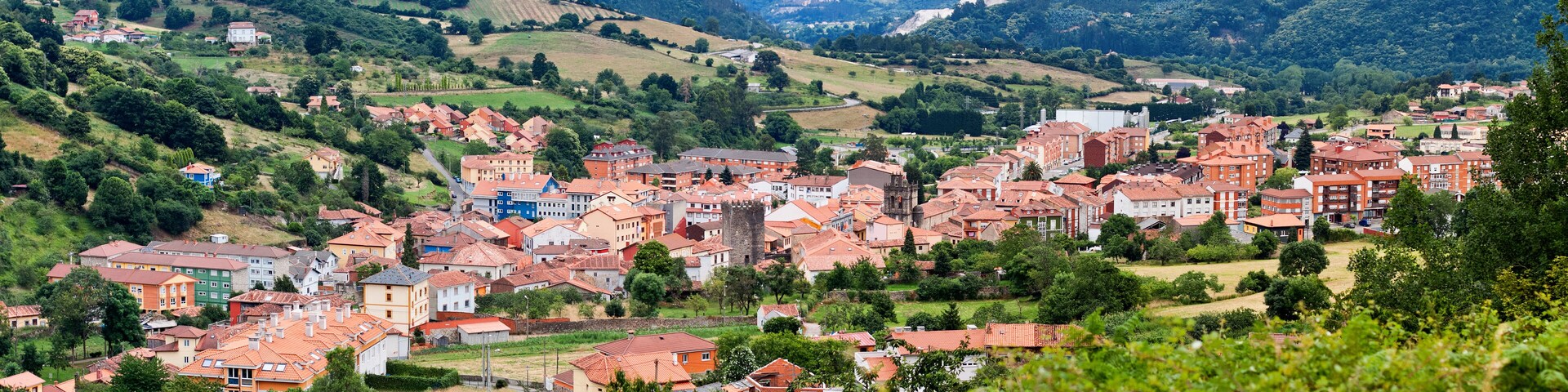 A town nestled in a valley with red-roofed buildings, surrounded by lush green hills and a prominent mountain in the background.