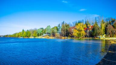 Lake Elkhart in the forest