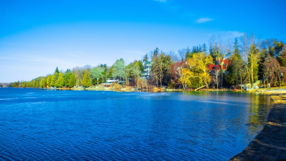 Lake Elkhart in the forest