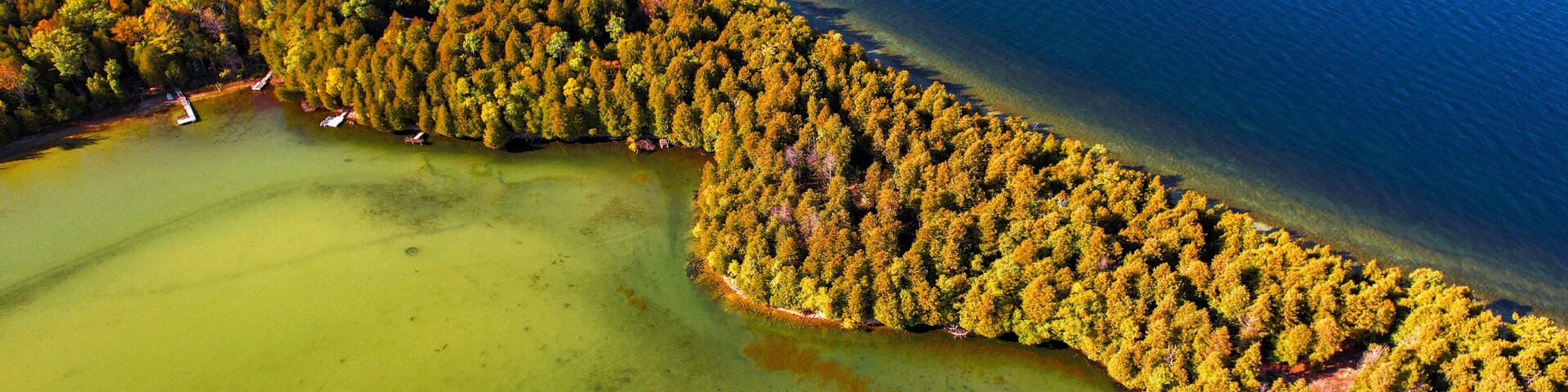 Vista aérea de un bosque costero con una masa de agua clara.