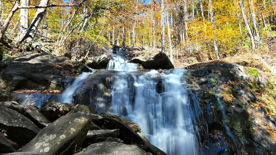 A waterfall in a forest with autumn-colored leaves.