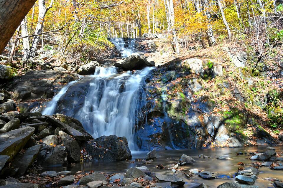 A waterfall in a forest with autumn leaves.