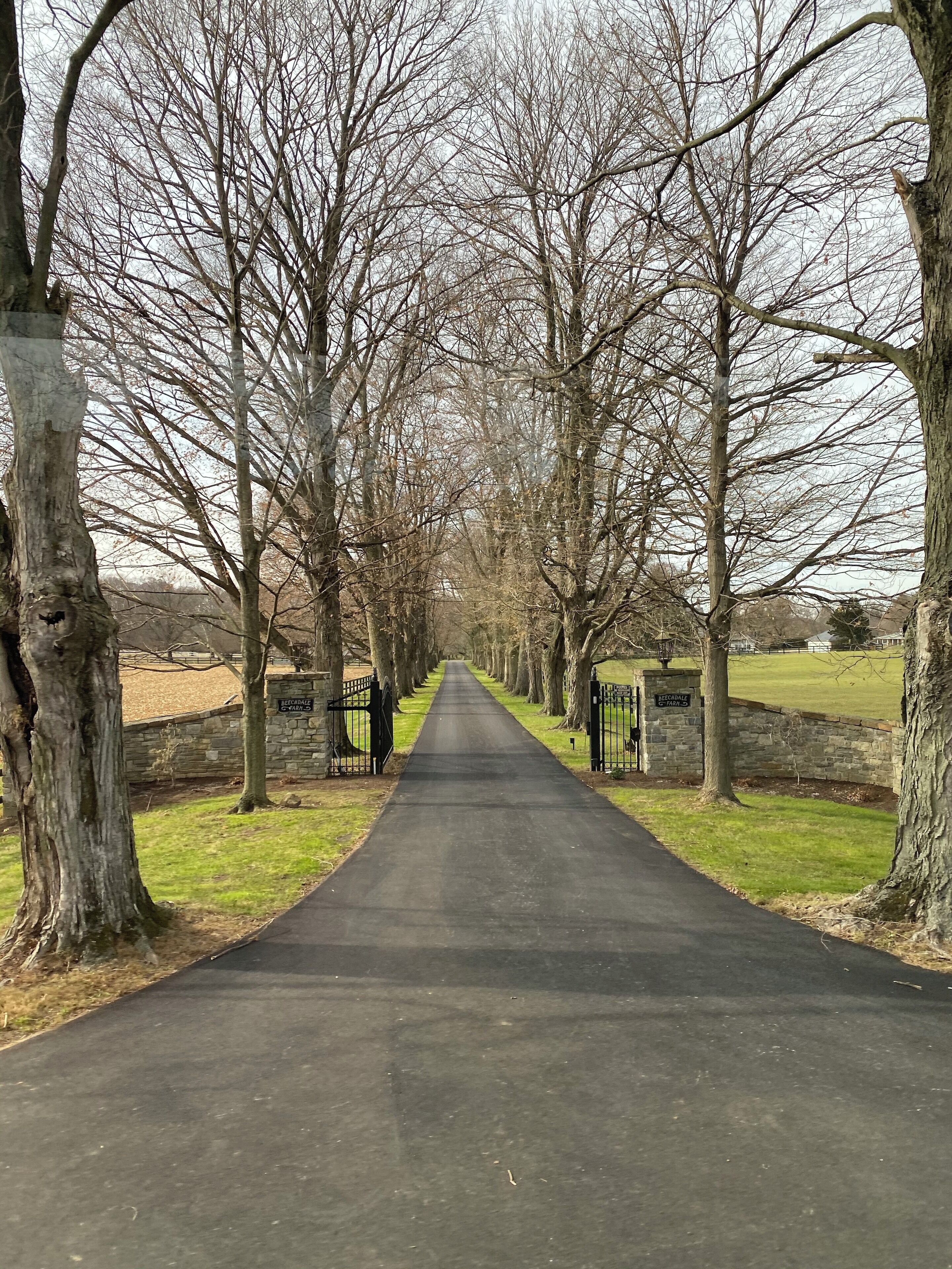 Today‘s find on a drive thru Amish Country