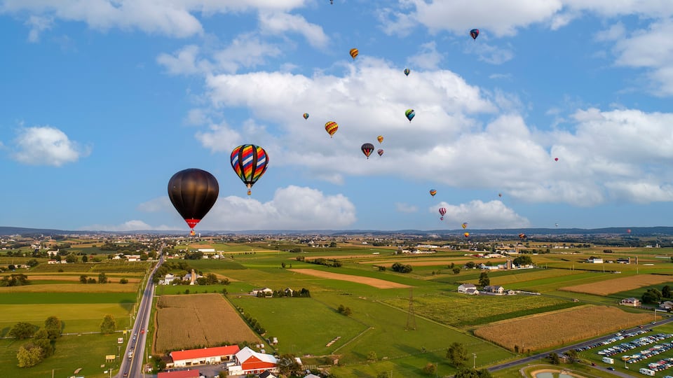 A landscape with fields, a road, and hot air balloons in the sky.