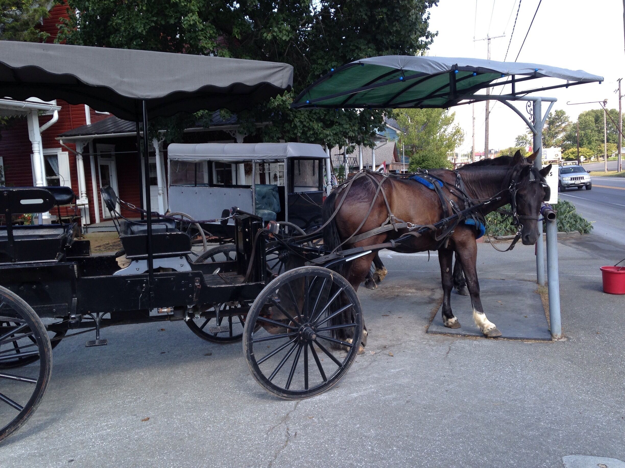 Traveled to Lancaster and Bird-In-Hand, Pennsylvania to take in the Amish and Mennonite people who amazing farmers, craftsmen, and a lot of fun to talk about their culture.