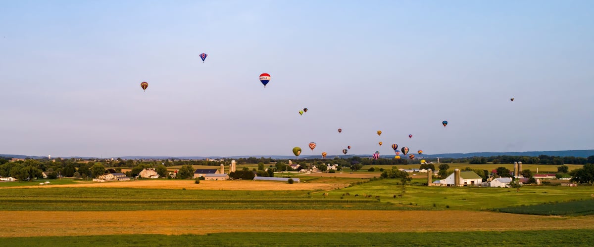 A rural landscape with fields, barns, and a clear sky filled with hot air balloons.