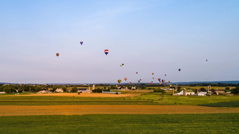 A rural landscape with fields, barns, and a clear sky filled with hot air balloons.