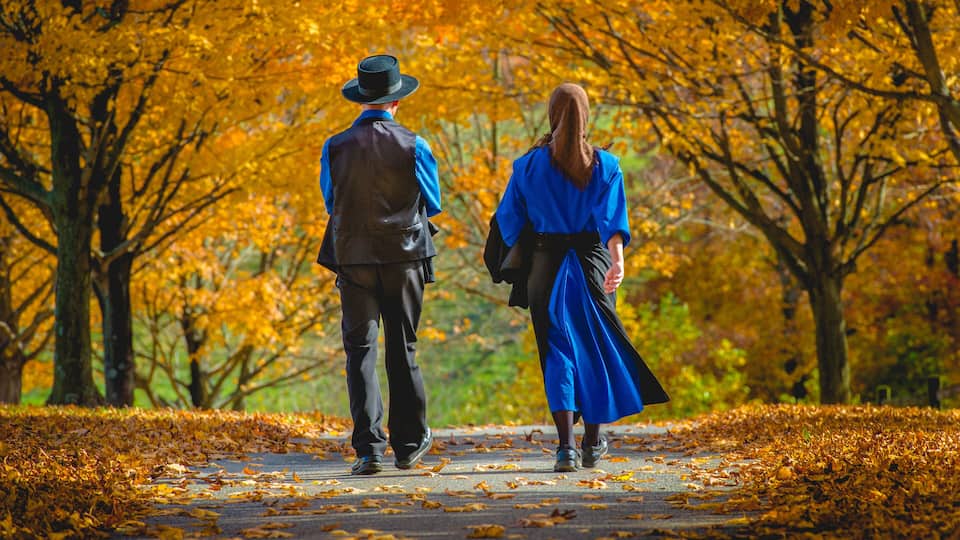 A couple walking on a leaf-covered path in a park with autumn-colored trees.