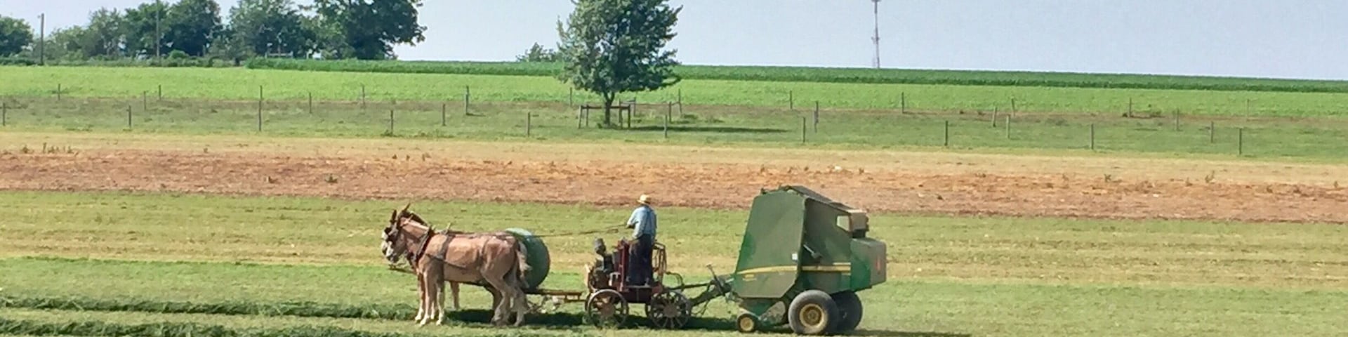 Amish Farmer and team baling the hay.