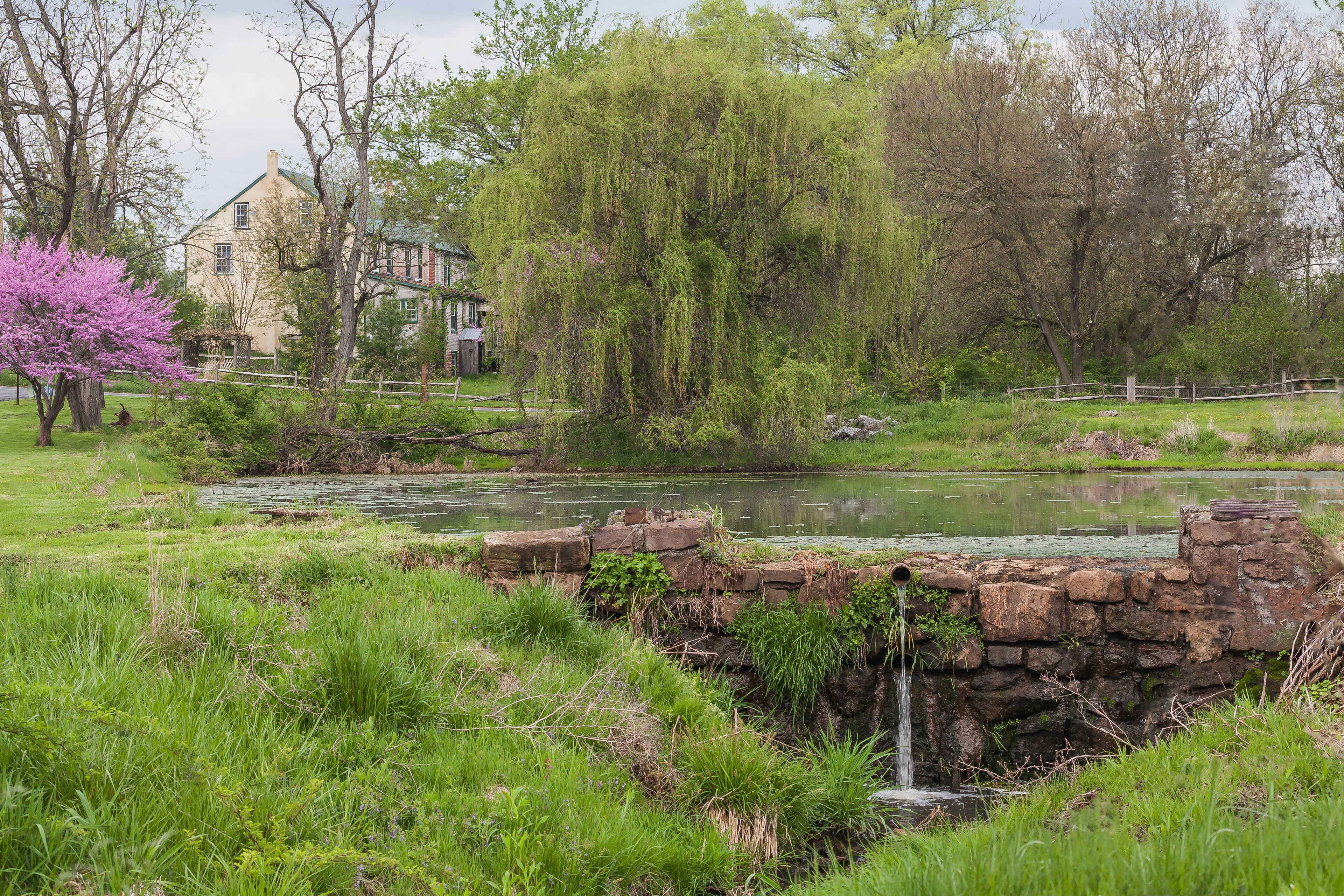 A pond with a stone bridge, lush greenery, and a house in the background.
