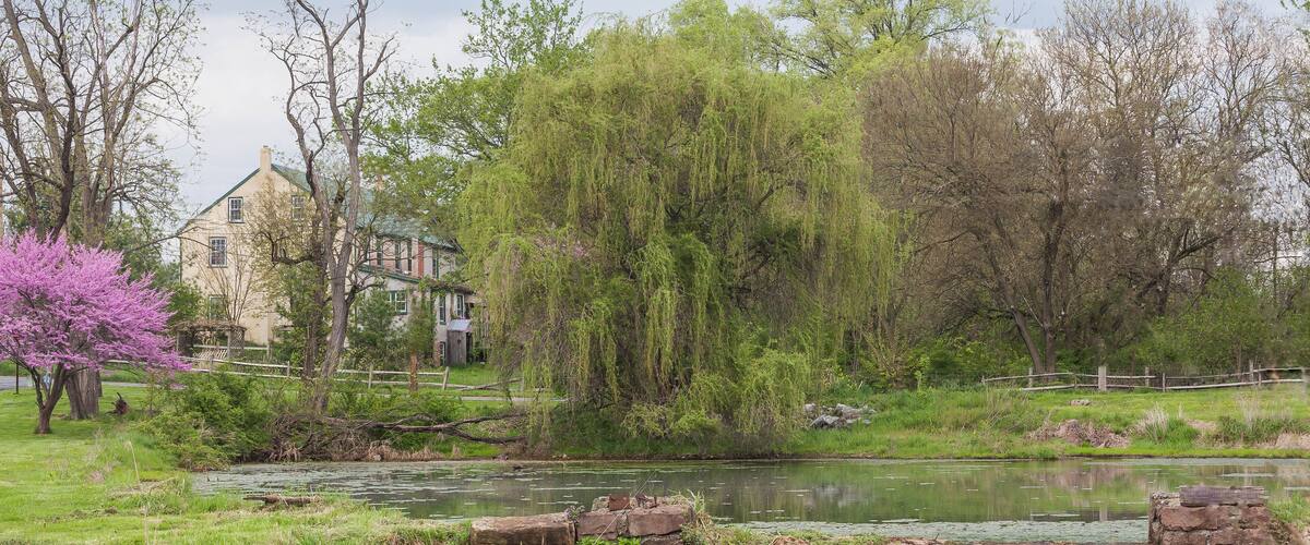 A pond with a stone bridge, lush greenery, and a house in the background.
