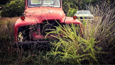 A random find driving around the countryside....abandoned vintage truck. #colorful