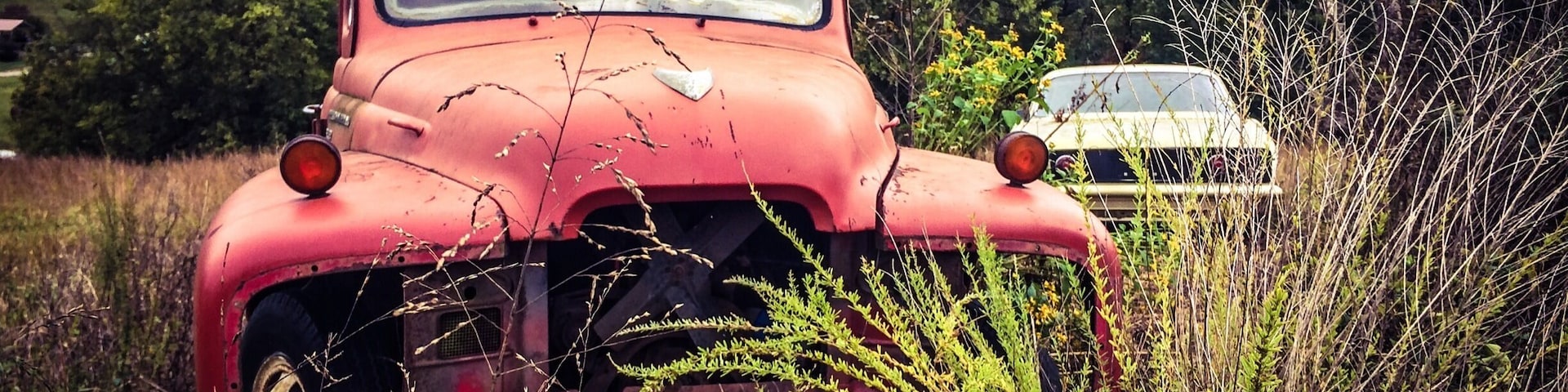 A random find driving around the countryside....abandoned vintage truck. #colorful
