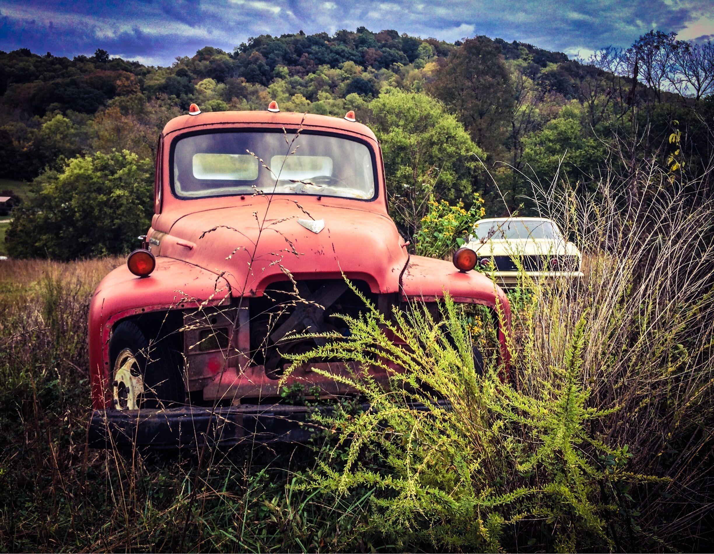 A red vintage car parked in a field with overgrown vegetation and a white car in the background.