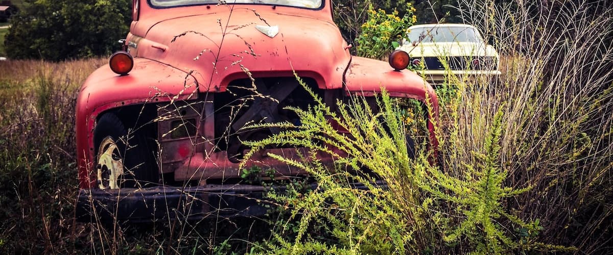 A red vintage car parked in a field with overgrown vegetation and a white car in the background.