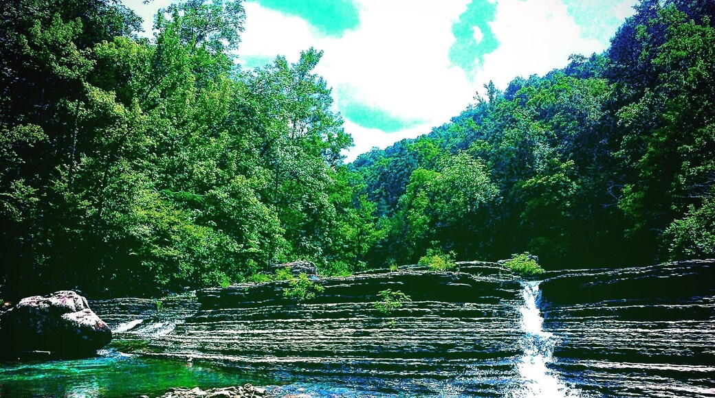 Accidentally stumbled upon Six Finger Falls when I was walking around the banks of Richland Creek. Water is down right now from the hot summer. I can't imagine this place when the water is flowing. #waterlust #ExploreAR