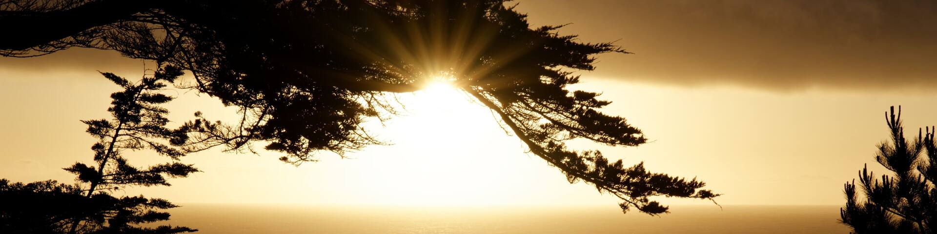 Sunset on Mendocino Coast Near Albion, California USA