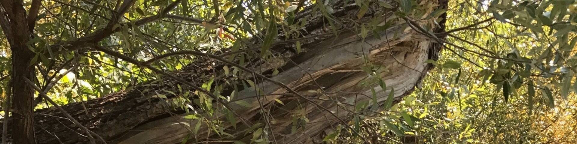 Awesome place just to relax.