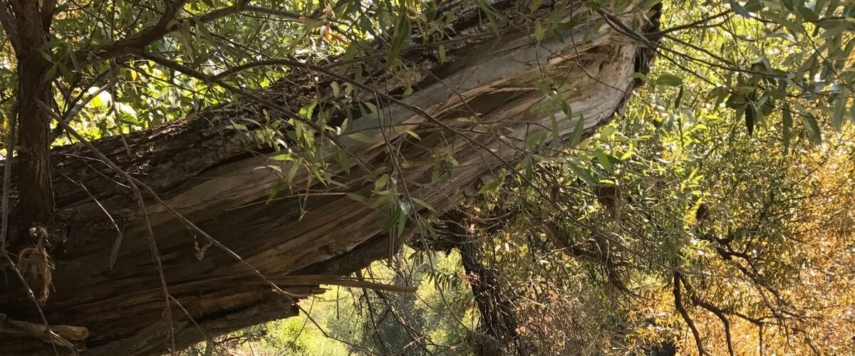 Awesome place just to relax.