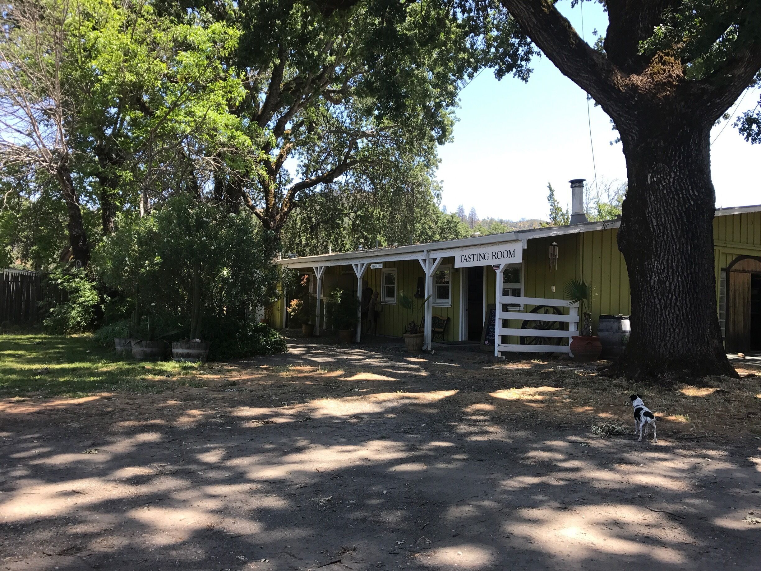 Bio wine in Lake County 