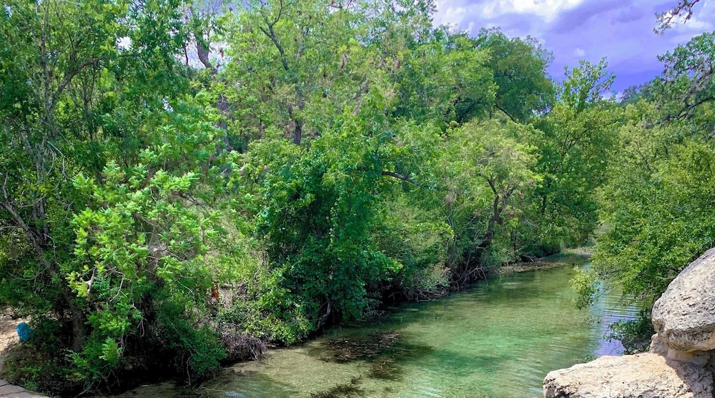 Beautiful place, need to book reservation for swim. 10 minutes hike to the place easy one. Free for visit and 10$ for swimming