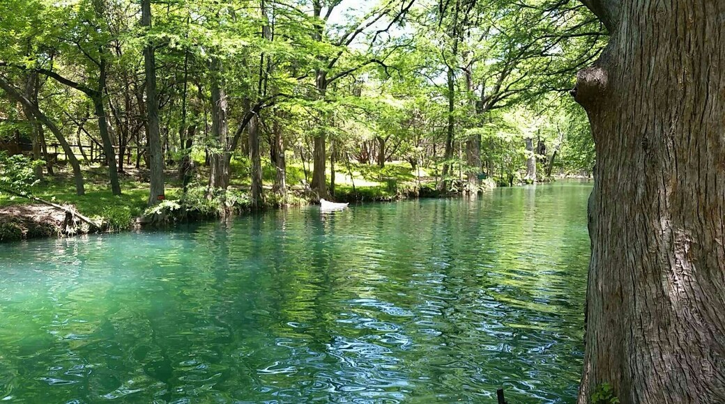 Beautiful blue and green place like this needs no editing! Great for swimming, crystal clear water, and swings to jump on into the water. #Bestof5