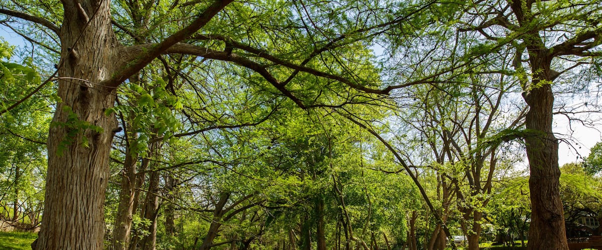 The natural beauty of the Texas Hill Country in the small town of Wimberley.; Shutterstock ID 444309097