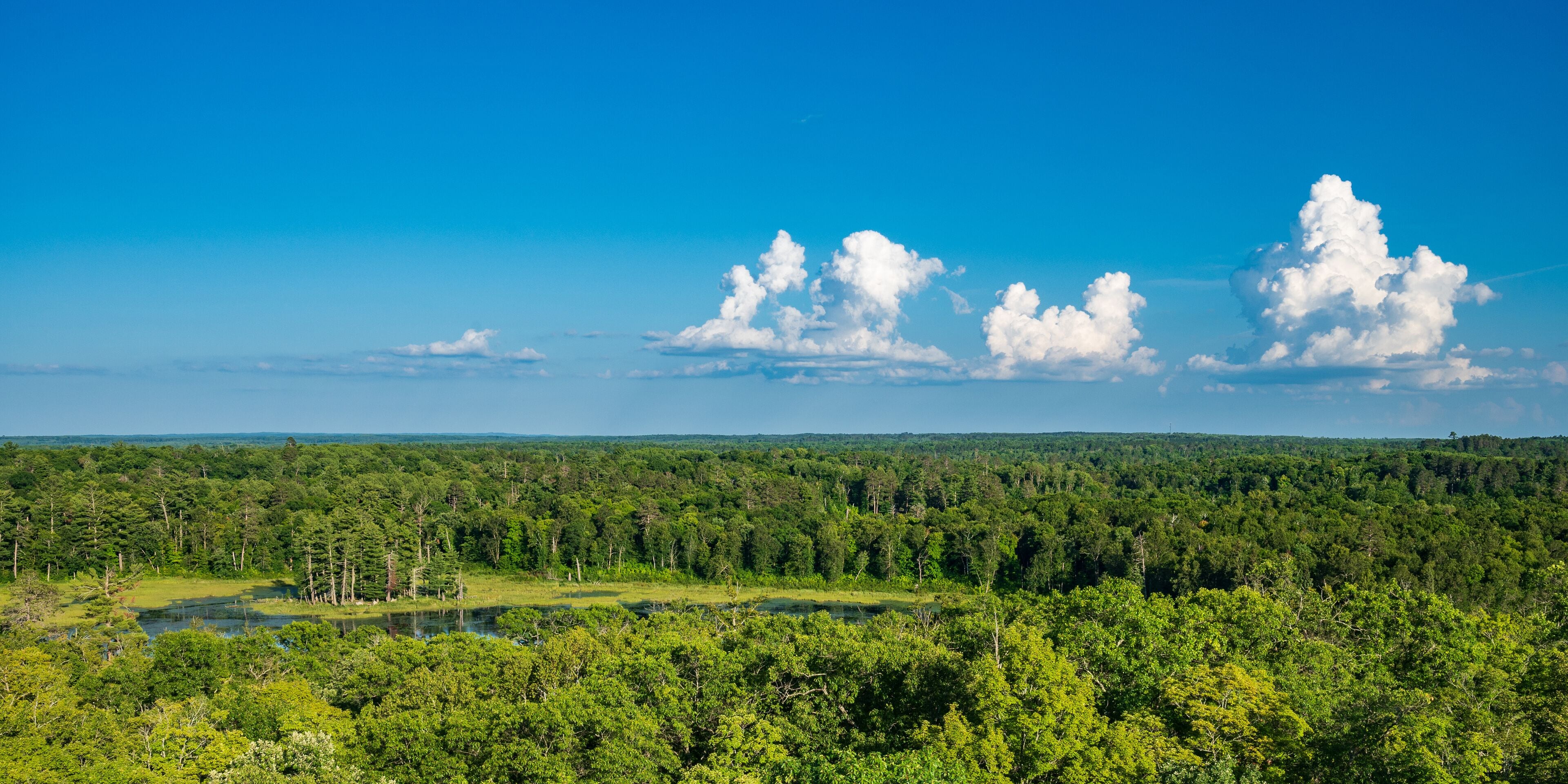 View of Lakes and Forest from Aiton Heights Fire Tower in Itasca State Park