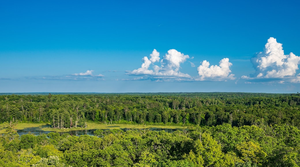View of Lakes and Forest from Aiton Heights Fire Tower in Itasca State Park