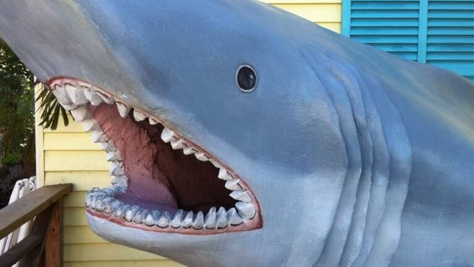 The great white outside of this seafood restaurant and bar. Great place to eat.