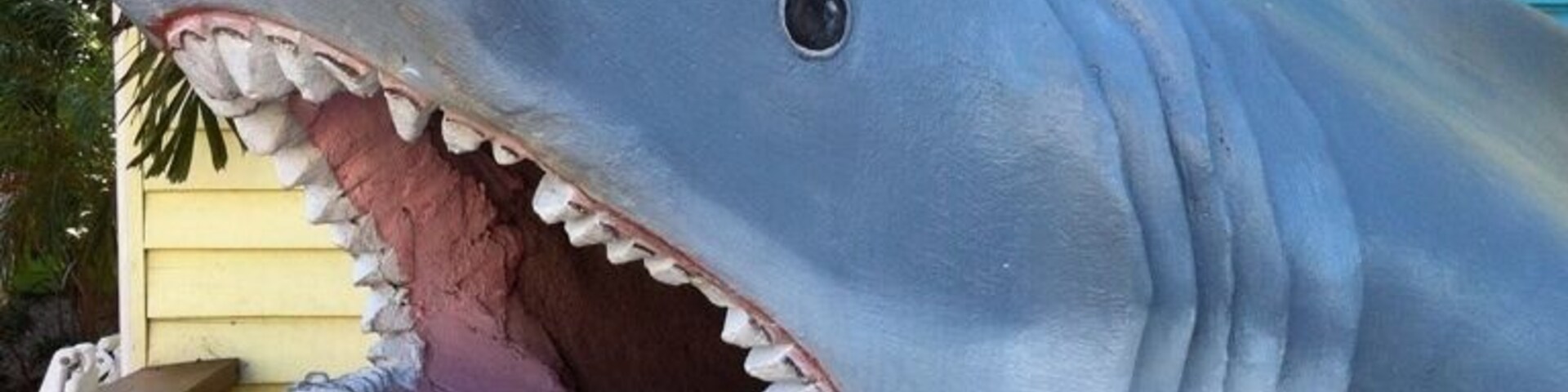 The great white outside of this seafood restaurant and bar. Great place to eat.