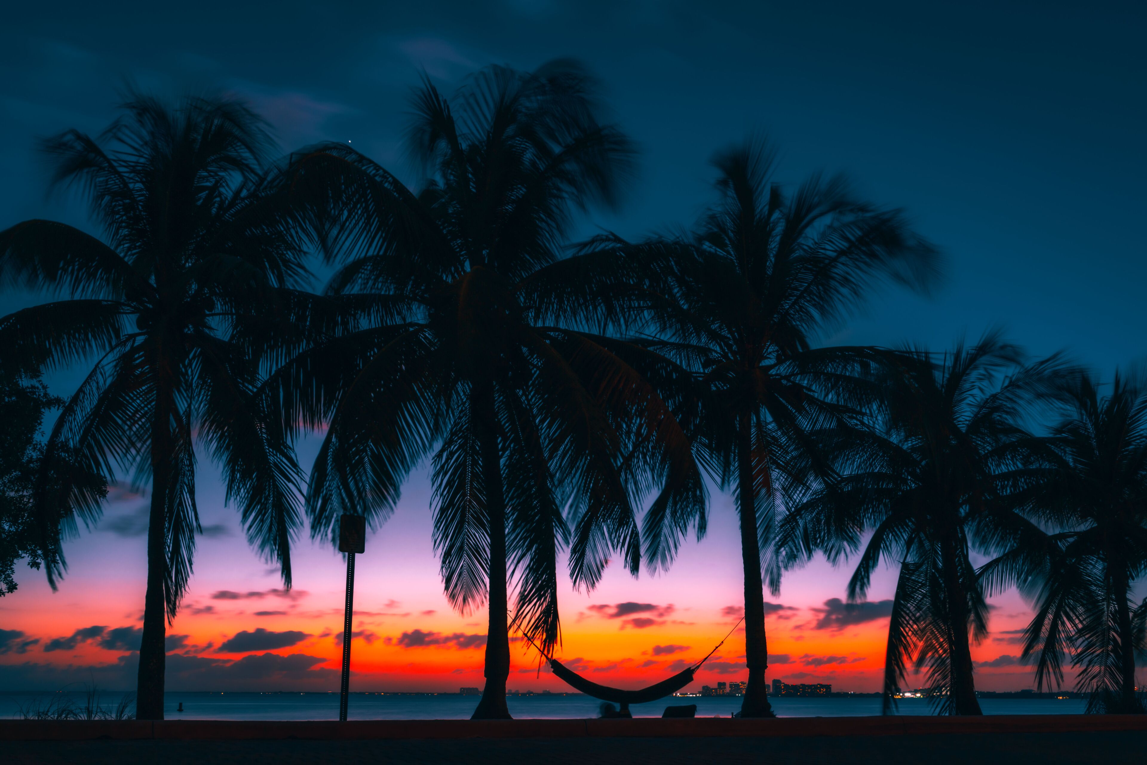 sunset palm beach tropical summer cuba miami florida tree sunrise sky clouds sea ocean island sun landscape scenery smile dusk beautiful coast blue orange coconut