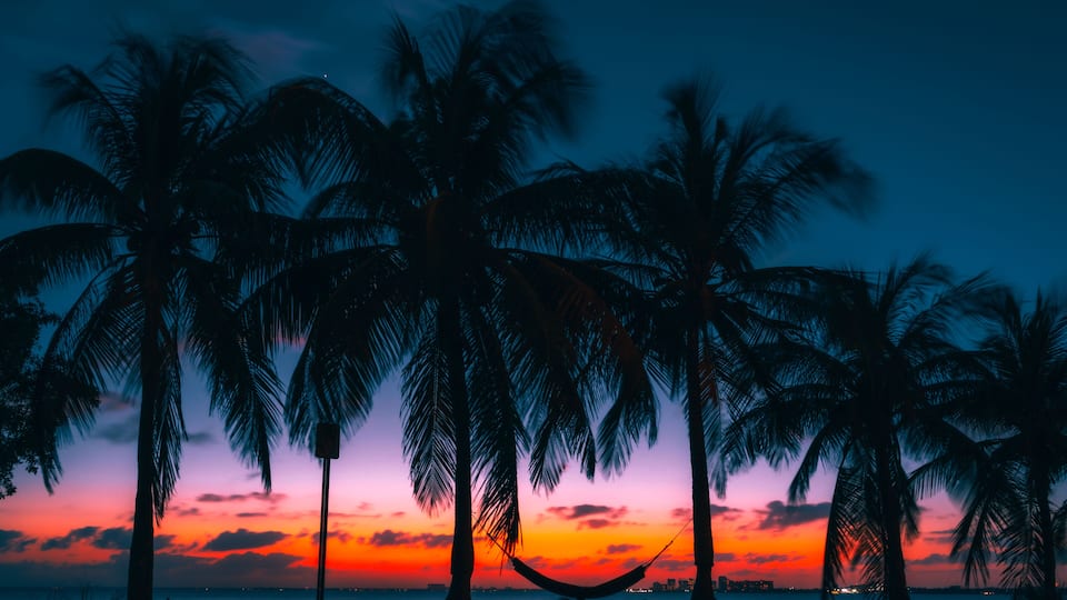A sunset over a beach with palm trees and a hammock.